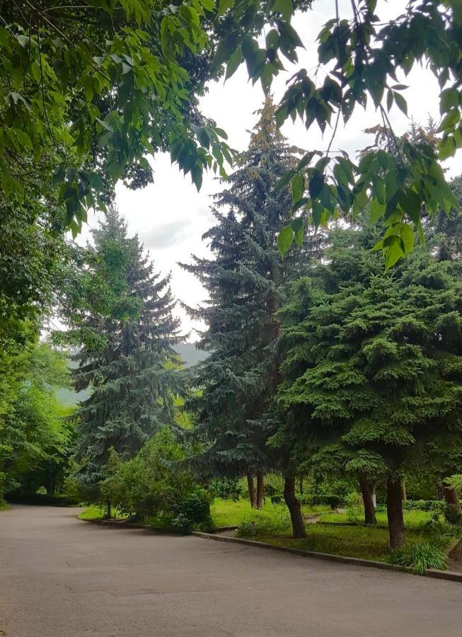 Vanadzor Armenia Health Resort & Hotel Bagian luar foto